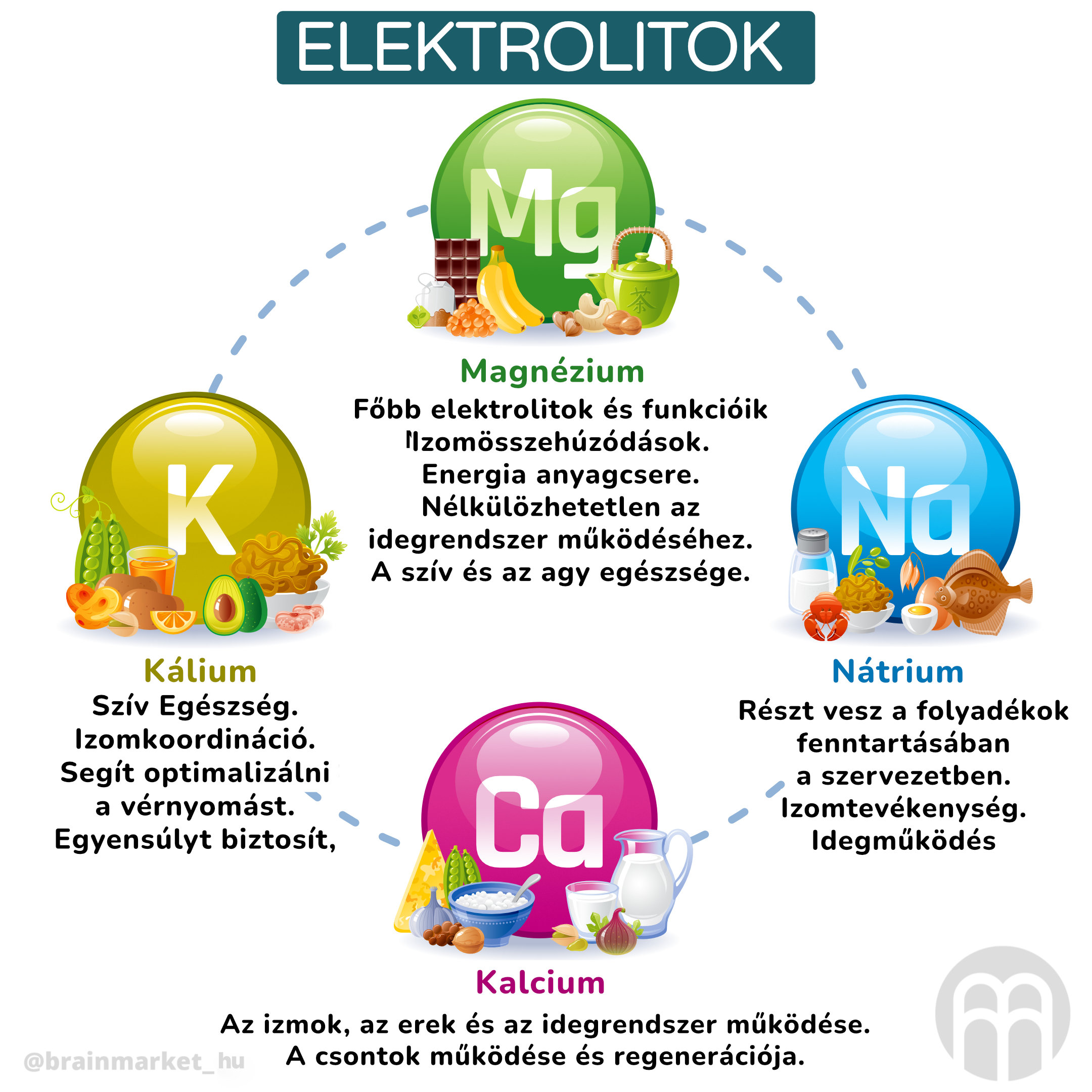 Hlavné elektrolyty a ich funkcie _hu